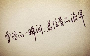 关于猫的抒情作文6篇