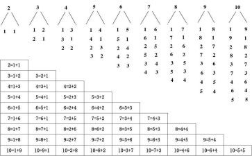 20以内单双数数学教案8篇