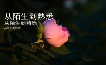 我熟悉的人优秀作文5篇
