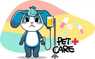 输液室护士的年终总结5篇