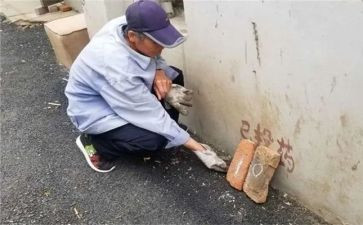 社区灭四害工作计划8篇