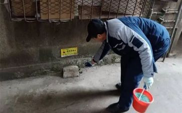 镇防四害工作总结7篇