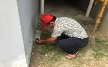 社区四害工作计划6篇