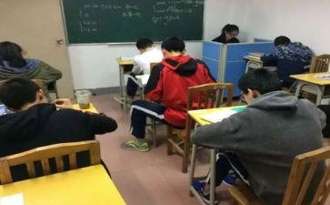 思修的调查报告7篇