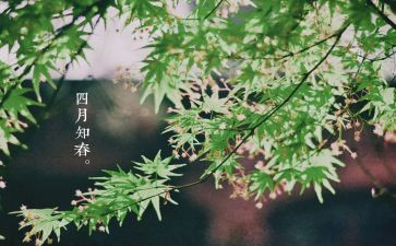 幼儿园四月班级工作计划6篇