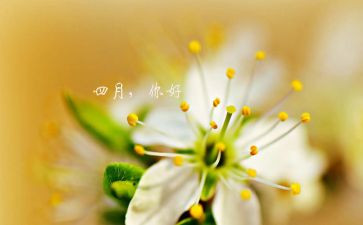 大班四月总结6篇