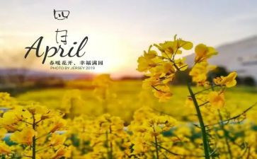2024年幼儿园小班四月工作总结8篇
