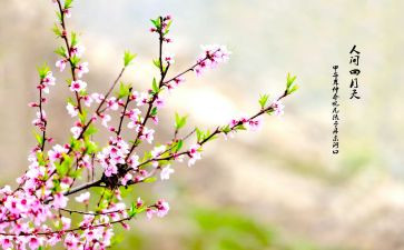 个人四月总结6篇
