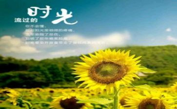 忆峥嵘岁月作文5篇