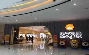 苏宁工作总结7篇