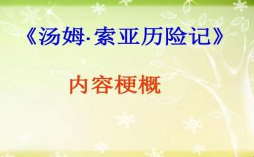 汤姆索亚历险记写心得体会8篇