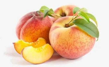 关于桃子的作文6篇