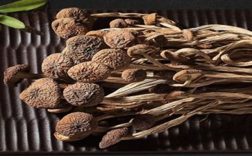 东至的特产的作文参考7篇