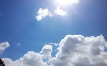 动物与天气的教案5篇