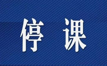 教师停课不停学心得体会6篇