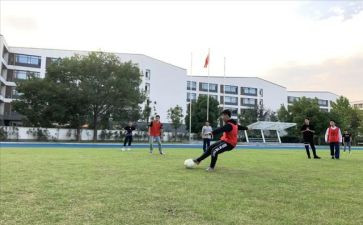 年体卫艺工作计划模板7篇