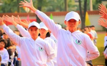 学校体艺卫工作计划5篇
