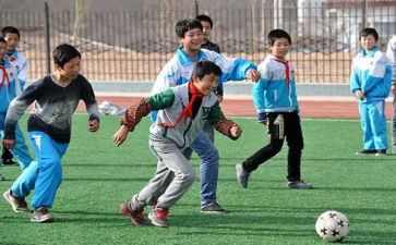 幼儿园体育活动教案通用5篇