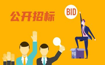 投标预算工作总结8篇