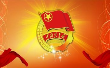 团代表述职报告6篇