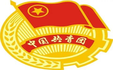 团干部竞选演讲稿精选5篇