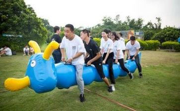 团建活动的方案策划最新8篇