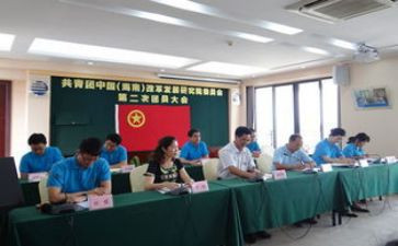 在团委的工作总结优质6篇