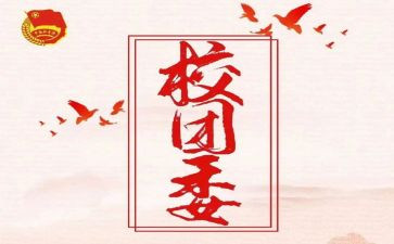 团委工作的工作计划范文优质6篇