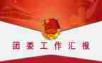 团委工作工作总结范文通用8篇