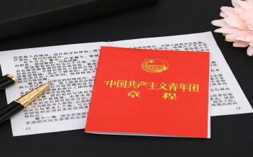 团章团史的心得体会8篇