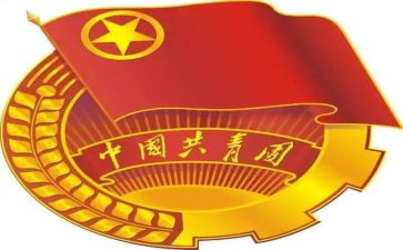 团组织工作总结6篇