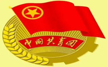 2024年团组织生活个人对照材料5篇