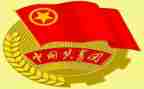 2024年团组织生活个人对照材料5篇