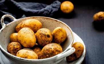 议土豆作文优质7篇