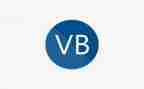 vbse的实训心得体会5篇