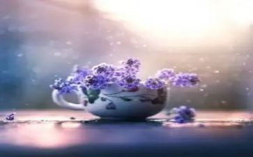 晚安我的星星读后感5篇