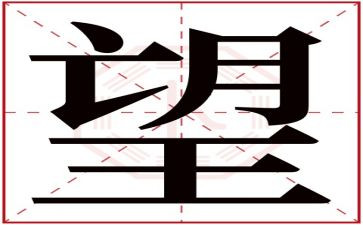 我希望飞作文8篇