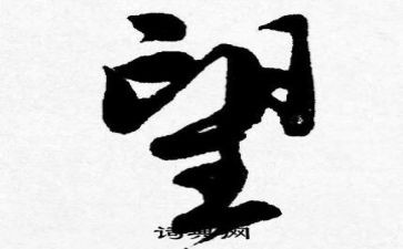 仰望作文800字作文8篇