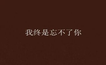 我忘不了你老师作文模板6篇