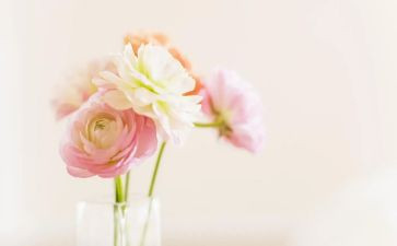 温馨类作文模板8篇