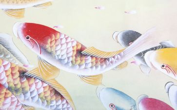 我与文化作文700字6篇