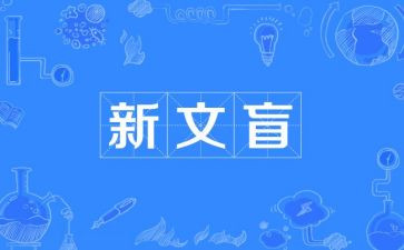 小文盲作文优质8篇