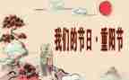 我们的节日活动总结最新6篇