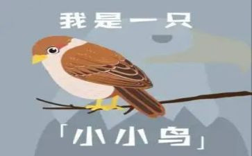 小班教案小鸟的家反思7篇