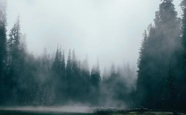 远离雾霾作文6篇