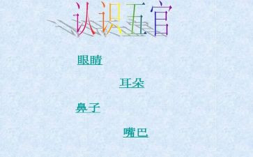 五官科护士工作总结8篇