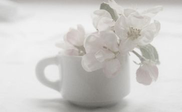无声的…作文优秀8篇