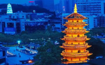 乌塔的读后感最新6篇