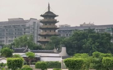 乌塔的读后感6篇