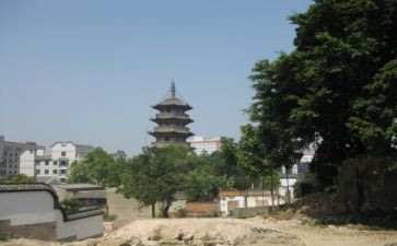 乌塔的读后感精选5篇